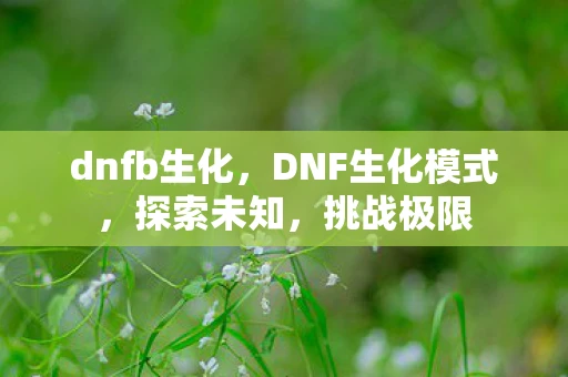 dnfb生化，DNF生化模式，探索未知，挑战极限