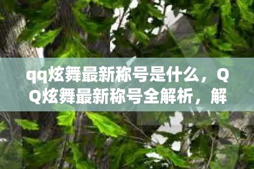 qq炫舞最新称号是什么,QQ炫舞最新称号全解析,解锁你的舞蹈新境界 qq炫舞最新称号是什么,QQ炫舞最新称号全解析,解锁你的舞蹈新境界