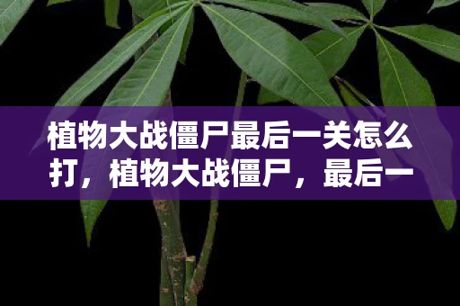植物大战僵尸最后一关怎么打，植物大战僵尸，最后一关的终极挑战