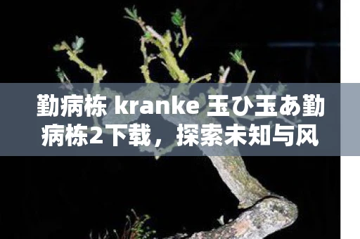 勤病栋 kranke 玉ひ玉あ勤病栋2下载，探索未知与风险并存的游戏世界