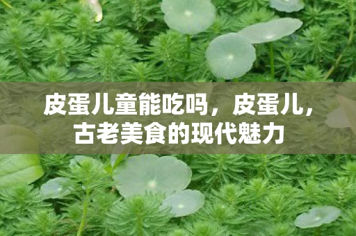 皮蛋儿童能吃吗，皮蛋儿，古老美食的现代魅力