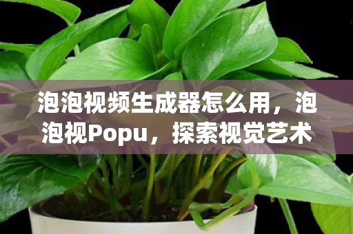 泡泡视频生成器怎么用，泡泡视Popu，探索视觉艺术的无限可能
