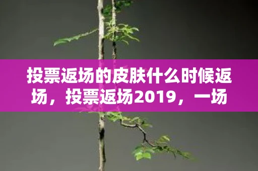 投票返场的皮肤什么时候返场，投票返场2019，一场全民参与的狂欢