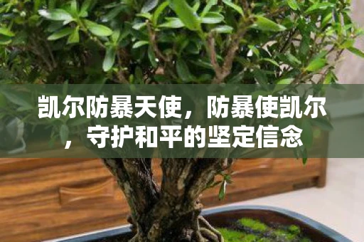 凯尔防暴天使，防暴使凯尔，守护和平的坚定信念