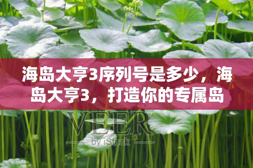 海岛大亨3序列号是多少,海岛大亨3,打造你的专属岛屿王国 海岛大亨3序列号是多少,海岛大亨3,打造你的专属岛屿王国