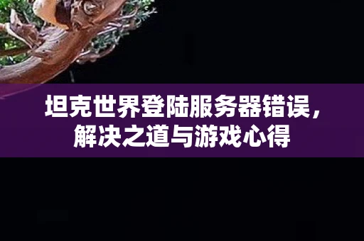 坦克世界登陆服务器错误，解决之道与游戏心得