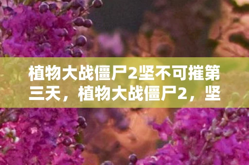 植物大战僵尸2坚不可摧第三天，植物大战僵尸2，坚不可摧的防御策略