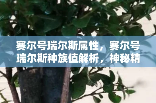 赛尔号瑞尔斯属性，赛尔号瑞尔斯种族值解析，神秘精灵的强悍实力