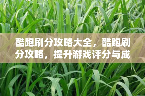 酷跑刷分攻略大全，酷跑刷分攻略，提升游戏评分与成就的全面指南