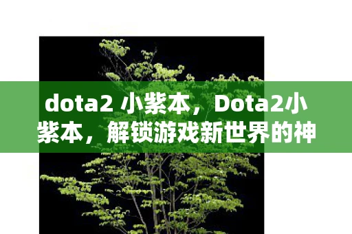 dota2 小紫本,Dota2小紫本,解锁游戏新世界的神秘钥匙 dota2 小紫本,Dota2小紫本,解锁游戏新世界的神秘钥匙