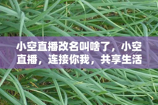 小空直播改名叫啥了，小空直播，连接你我，共享生活的每一刻