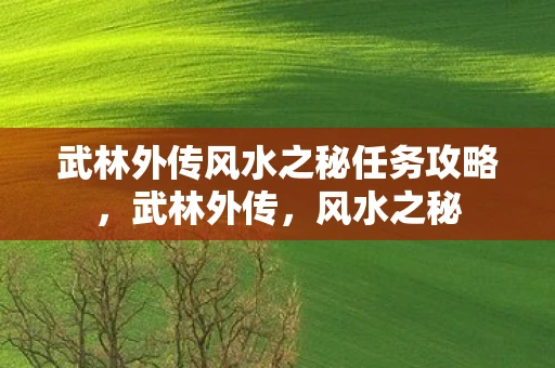 武林外传风水之秘任务攻略,武林外传,风水之秘 武林外传风水之秘任务攻略,武林外传,风水之秘