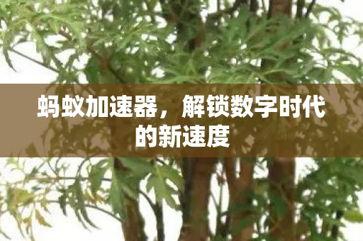 蚂蚁加速器,解锁数字时代的新速度 蚂蚁加速器,解锁数字时代的新速度