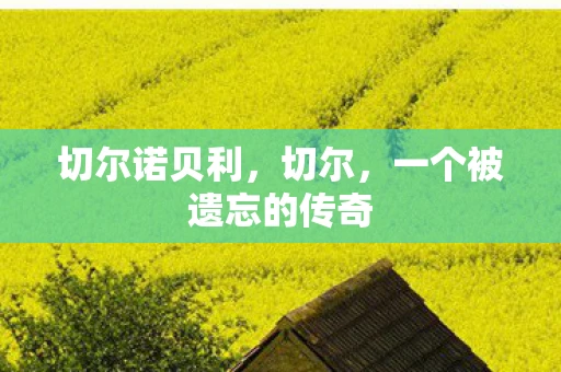 切尔诺贝利,切尔,一个被遗忘的传奇 切尔诺贝利,切尔,一个被遗忘的传奇