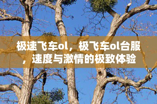 极速飞车ol，极飞车ol台服，速度与激情的极致体验