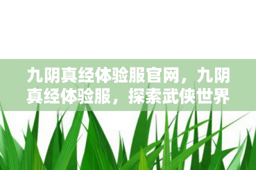 九阴真经体验服官网,九阴真经体验服,探索武侠世界的奇妙之旅 九阴真经体验服官网,九阴真经体验服,探索武侠世界的奇妙之旅