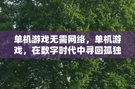 单机游戏无需网络，单机游戏，在数字时代中寻回孤独与沉浸