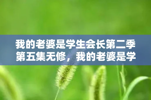 我的老婆是学生会长第二季第五集无修，我的老婆是学生会长 第二季 无修