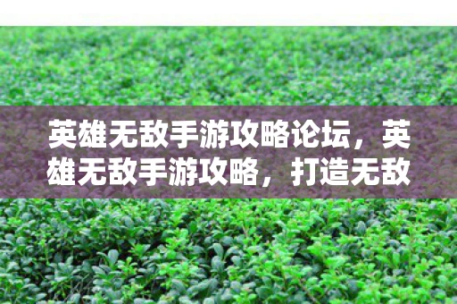 英雄无敌手游攻略论坛，英雄无敌手游攻略，打造无敌阵容，征服战场！