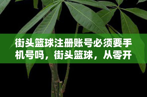 街头篮球注册账号必须要手机号吗,街头篮球,从零开始,打造你的篮球梦想 街头篮球注册账号必须要手机号吗,街头篮球,从零开始,打造你的篮球梦想