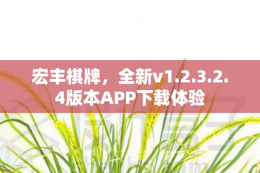 4版本APP下载体验图片