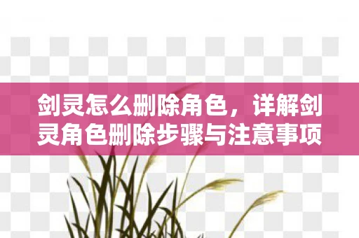 剑灵怎么删除角色,详解剑灵角色删除步骤与注意事项 剑灵怎么删除角色,详解剑灵角色删除步骤与注意事项