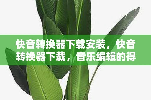 快音转换器下载安装，快音转换器下载，音乐编辑的得力助手