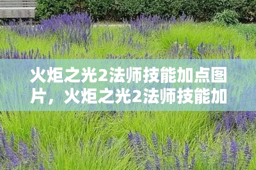 火炬之光2法师技能加点图片，火炬之光2法师技能加点图详解