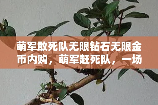 萌军敢死队无限钻石无限金币内购，萌军赶死队，一场不可思议的军事冒险