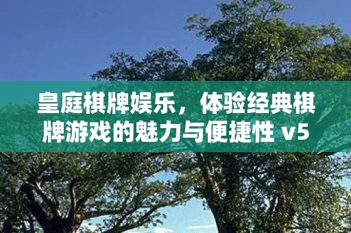 体验经典棋牌游戏的魅力与便捷性 v5图片