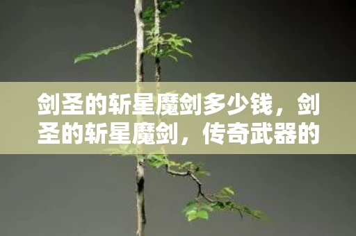 剑圣的斩星魔剑多少钱，剑圣的斩星魔剑，传奇武器的背后故事