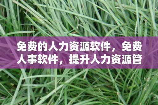 免费的人力资源软件,免费人事软件,提升人力资源管理的利器 免费的人力资源软件,免费人事软件,提升人力资源管理的利器