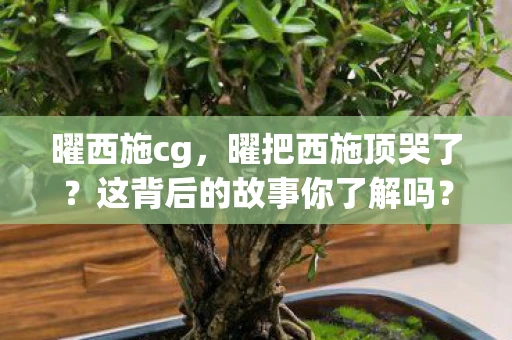 曜西施cg,曜把西施顶哭了?这背后的故事你了解吗? 曜西施cg,曜把西施顶哭了?这背后的故事你了解吗?