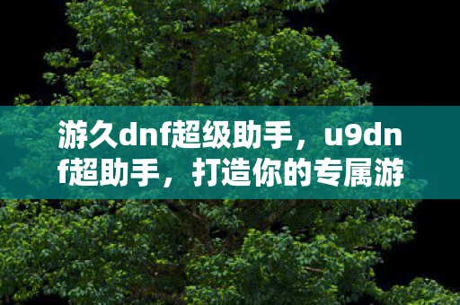 游久dnf超级助手,u9dnf超助手,打造你的专属游戏助手 游久dnf超级助手,u9dnf超助手,打造你的专属游戏助手