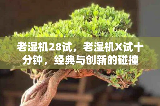 老湿机28试，老湿机X试十分钟，经典与创新的碰撞