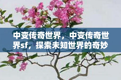 中变传奇世界,中变传奇世界sf,探索未知世界的奇妙之旅 中变传奇世界,中变传奇世界sf,探索未知世界的奇妙之旅