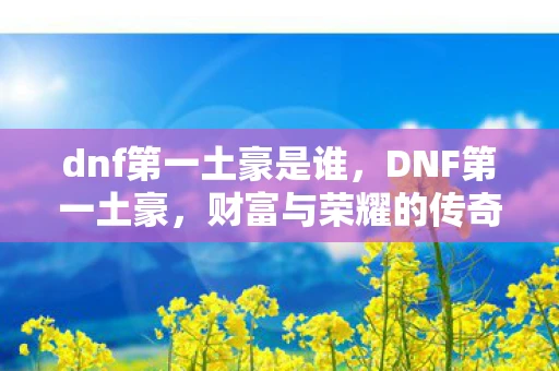 dnf第一土豪是谁，DNF第一土豪，财富与荣耀的传奇