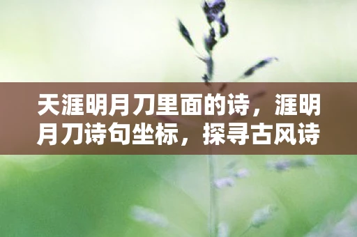 天涯明月刀里面的诗,涯明月刀诗句坐标,探寻古风诗意中的江湖情怀 天涯明月刀里面的诗,涯明月刀诗句坐标,探寻古风诗意中的江湖情怀