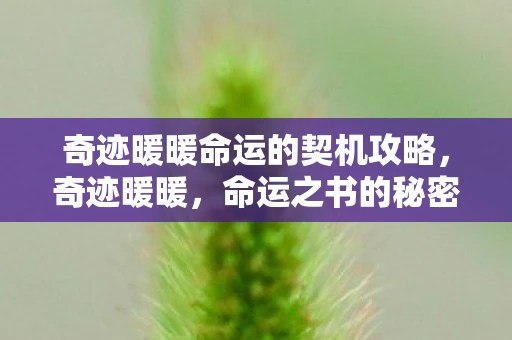 奇迹暖暖命运的契机攻略，奇迹暖暖，命运之书的秘密