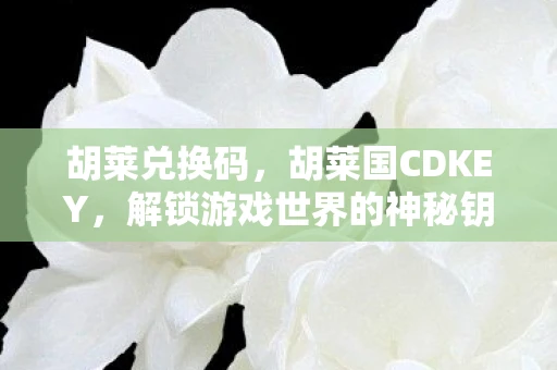 胡莱兑换码，胡莱国CDKEY，解锁游戏世界的神秘钥匙