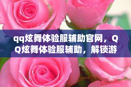 qq炫舞体验服辅助官网,QQ炫舞体验服辅助,解锁游戏新体验,但需谨慎使用 qq炫舞体验服辅助官网,QQ炫舞体验服辅助,解锁游戏新体验,但需谨慎使用