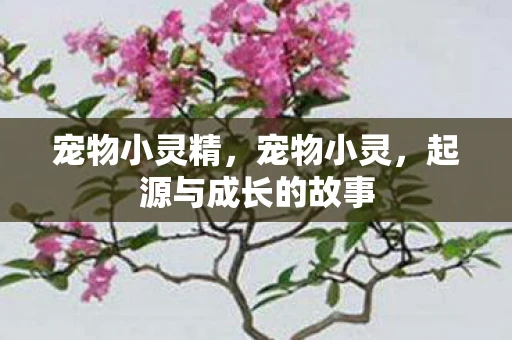 宠物小灵精，宠物小灵，起源与成长的故事