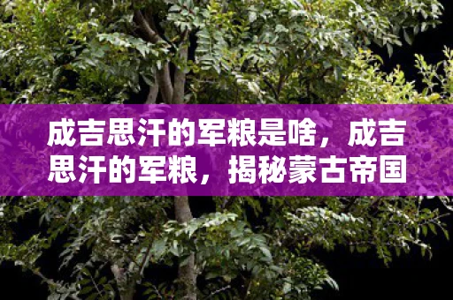 成吉思汗的军粮是啥，成吉思汗的军粮，揭秘蒙古帝国的饮食文化