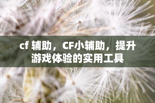 cf 辅助，CF小辅助，提升游戏体验的实用工具