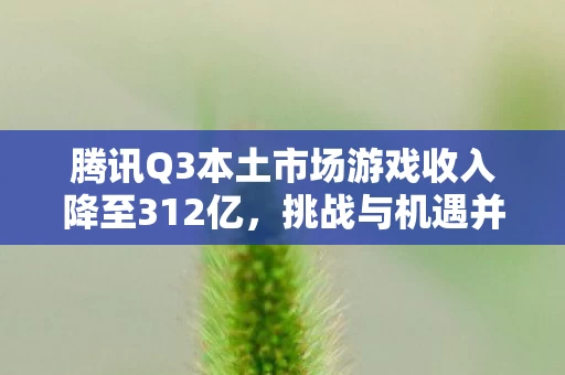 腾讯Q3本土市场游戏收入降至312亿图片