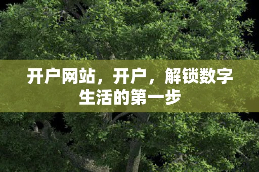 开户网站，开户，解锁数字生活的第一步