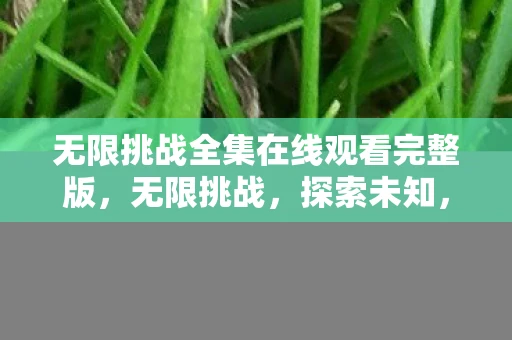 无限挑战全集在线观看完整版，无限挑战，探索未知，超越自我