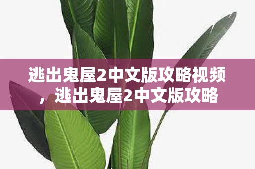 逃出鬼屋2中文版攻略视频,逃出鬼屋2中文版攻略 逃出鬼屋2中文版攻略视频,逃出鬼屋2中文版攻略