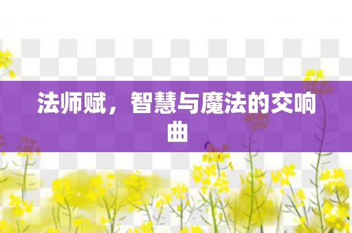 法师赋,智慧与魔法的交响曲 法师赋,智慧与魔法的交响曲