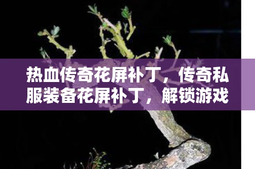 热血传奇花屏补丁，传奇私服装备花屏补丁，解锁游戏新体验